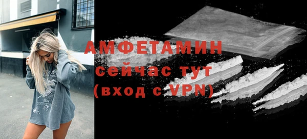 дмт Шали
