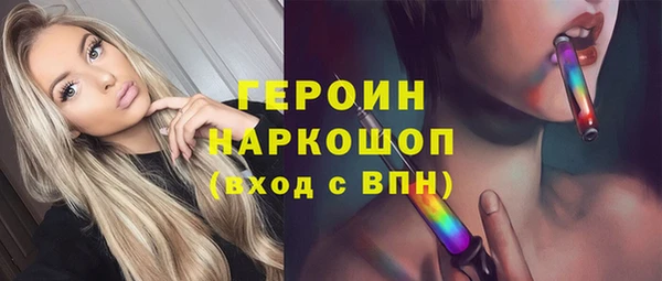 стаф Шадринск