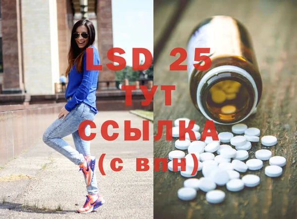 PSILOCYBIN Кондопога