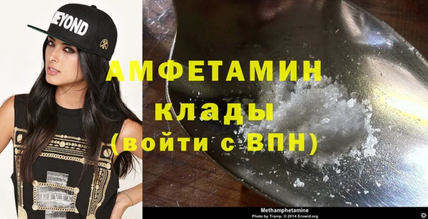 стаф Шадринск