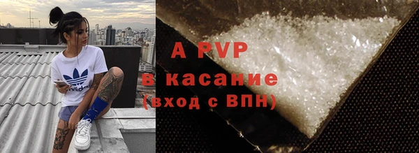стаф Шадринск