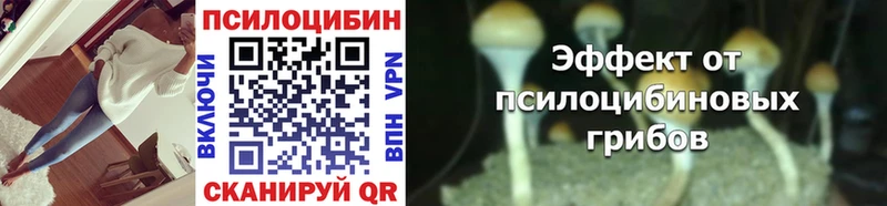 где можно купить наркотик  Венёв  Галлюциногенные грибы мухоморы 
